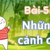 Bài 5: Những cánh cò Tiếng Việt lớp 1 tập 2 Kết nối tri thức