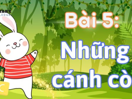 Bài 5: Những cánh cò Tiếng Việt lớp 1 tập 2 Kết nối tri thức