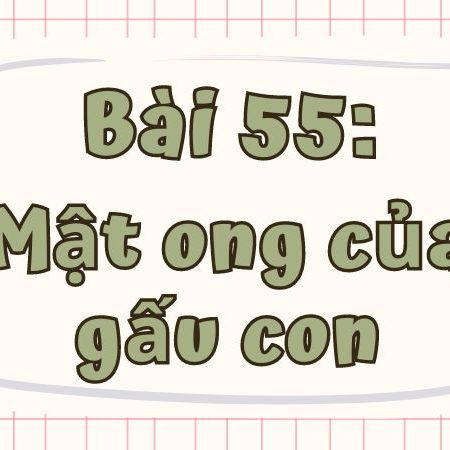 Bài 55: Mật ong của gấu con Tiếng Việt lớp 1 tập 1