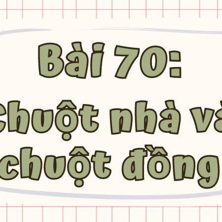 Bài 70: Chuột nhà và chuột đồng Tiếng Việt lớp 1 tập 1 Kết nối tri thức