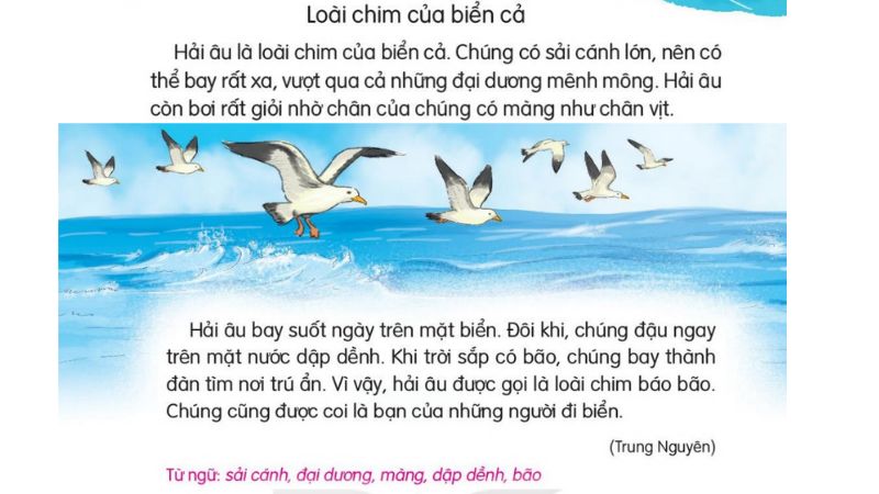 Câu 2 trang 105 SGK Tiếng Việt lớp 1 Kết nối tri thức Tập 2