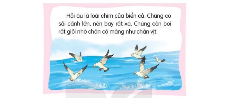 Câu 7 trang 107 SGK Tiếng Việt lớp 1 Kết nối tri thức Tập 2