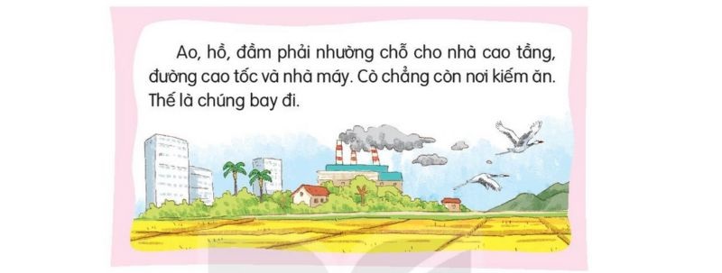 Câu 7 trang 137 SGK Tiếng Việt lớp 1 Kết nối tri thức Tập 2