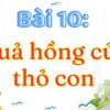 Bài 10: Quả hồng của thỏ con – Tiếng Việt Lớp 3 Tập 2 Kết Nối Tri Thức