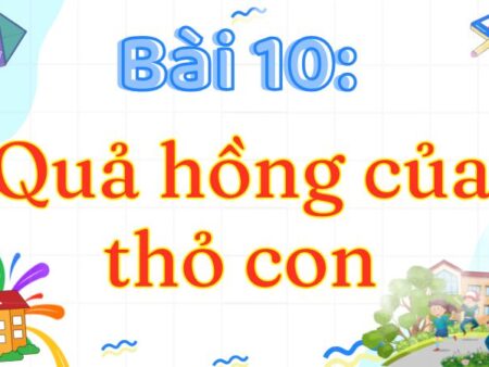 Bài 10: Quả hồng của thỏ con – Tiếng Việt Lớp 3 Tập 2 Kết Nối Tri Thức