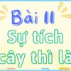 Bài 11: Sự tích cây thì là – Tiếng Việt Lớp 2 tập 2 Kết Nối Tri Thức