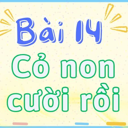 Bài 14: Cỏ non cười rồi – Tiếng Việt Lớp 2 tập 2 Kết Nối Tri Thức