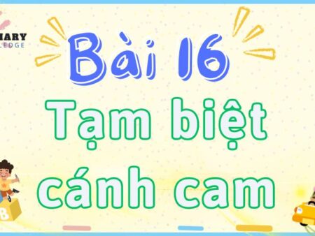 Bài 16: Tạm biệt cánh cam – Tiếng Việt Lớp 2 tập 2 Kết Nối Tri Thức