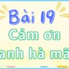 Bài 19: Cảm ơn anh hà mã – Tiếng Việt Lớp 2 tập 2 Kết Nối Tri Thức