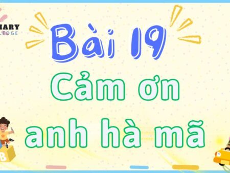 Bài 19: Cảm ơn anh hà mã – Tiếng Việt Lớp 2 tập 2 Kết Nối Tri Thức