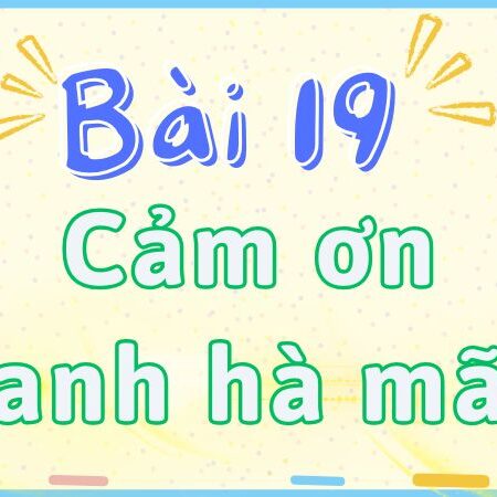 Bài 19: Cảm ơn anh hà mã – Tiếng Việt Lớp 2 tập 2 Kết Nối Tri Thức