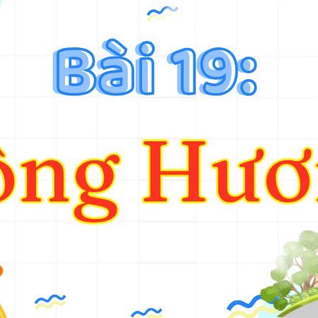 Bài 19: Sông Hương – Tiếng Việt Lớp 3 Tập 2 Kết Nối Tri Thức