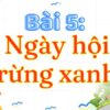 Bài 5: Ngày hội rừng xanh – Tiếng Việt Lớp 3 Tập 2 Kết Nối Tri Thức