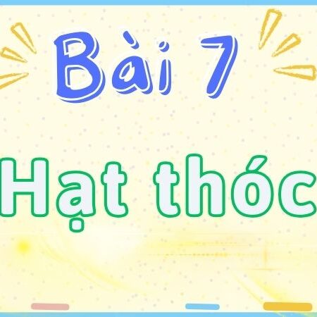 Bài 7: Hạt thóc – Tiếng Việt Lớp 2 tập 2 Kết Nối Tri Thức