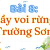 Bài 8: Bầy voi rừng Trường Sơn – Tiếng Việt Lớp 3 Tập 2 Kết Nối Tri Thức