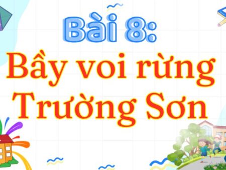 Bài 8: Bầy voi rừng Trường Sơn – Tiếng Việt Lớp 3 Tập 2 Kết Nối Tri Thức