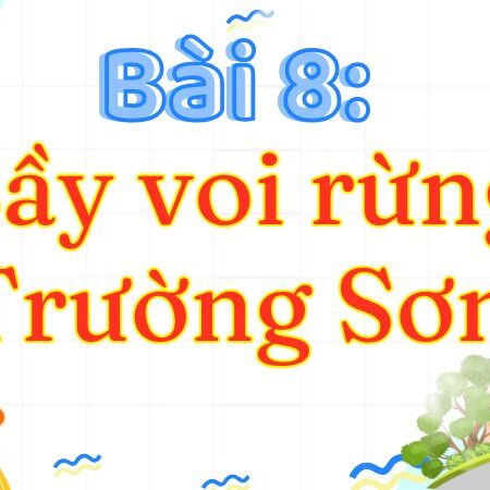 Bài 8: Bầy voi rừng Trường Sơn – Tiếng Việt Lớp 3 Tập 2 Kết Nối Tri Thức