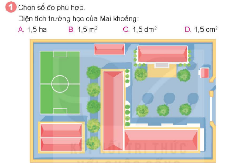 Bài số 1: Giải hoạt động câu 1 trang 62 SGK Toán 5 tập 1