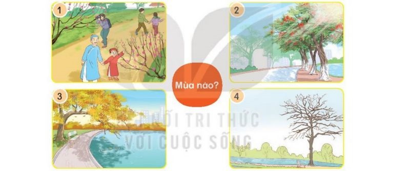 Câu 1 trang 14 SGK Tiếng Việt lớp 2 Kết nối tri thức Tập 2