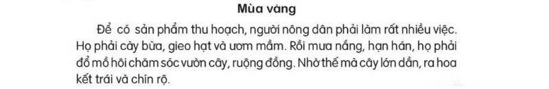 Câu 1 trang 27 SGK Tiếng Việt lớp 2 Kết nối tri thức Tập 2 Phần Viết