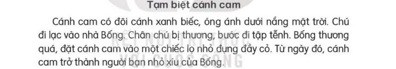 Câu 1 trang 65 SGK Tiếng Việt lớp 2 Kết nối tri thức Tập 2 Phần Viết