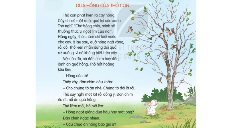 Câu 2: Đọc Bài 10: Quả hồng của thỏ con SGK Tiếng Việt lớp 3 Kết nối tri thức Tập 2 1