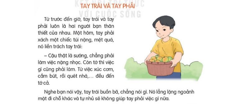 Câu 2: Đọc Bài 12: Tay trái và tay phải SGK Tiếng Việt lớp 3 Kết nối tri thức Tập 2 1