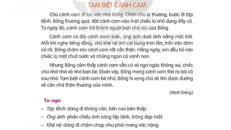 Câu 2: Đọc Bài 16: Tạm biệt cánh cam trang 64 Tiếng Việt 2 tập 2 Kết nối tri thức