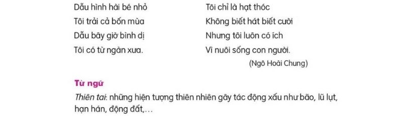 Câu 2: Đọc Bài 7: Hạt thóc trang 31 2 Tiếng Việt 2 tập 2 Kết nối tri thức