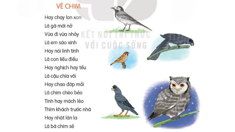 Câu 2: Đọc Bài 9: Vè chim trang 39 Tiếng Việt 2 tập 2 Kết nối tri thức 1