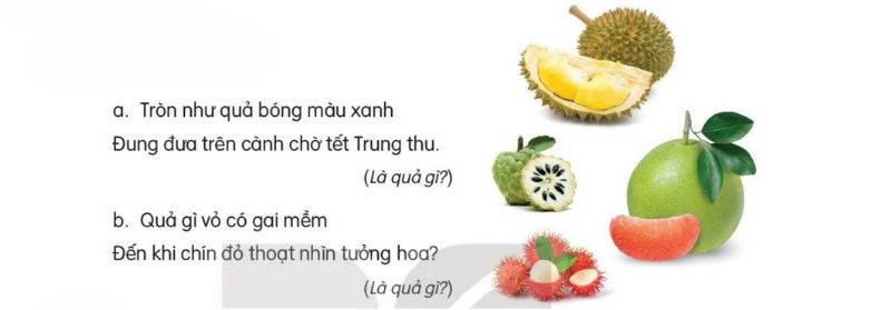 Câu hỏi trang 26 SGK Tiếng Việt lớp 2 Kết nối tri thức Tập 2