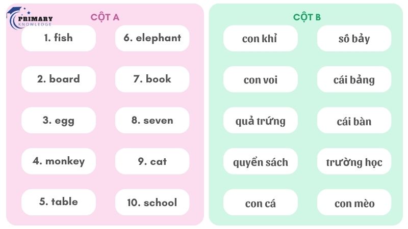 Bài tập 7: Connect the English words in column A with their meanings in Vietnamese in column B (Nối từ tiếng Anh ở cột A với nghĩa tiếng Việt ở cột B)