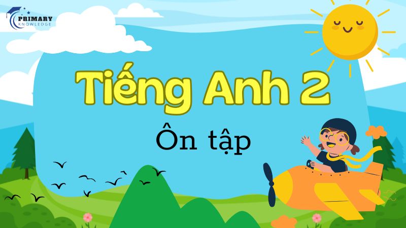 Các nội dung tiếng Anh lớp 2 cần ôn tập