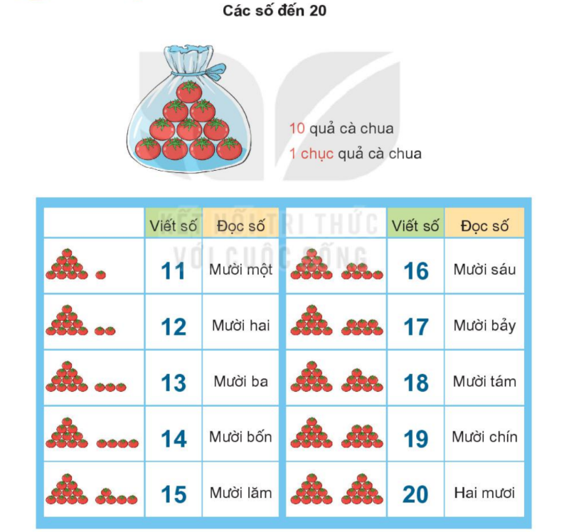 Kiến thức cần nhớ bài 21 toán 1 tập 2