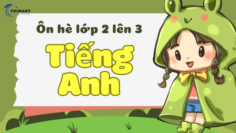 Vì sao cần ôn hè lớp 2 lên 3 môn tiếng Anh?