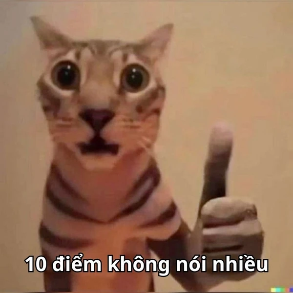 10 điểm không có nhưng meme