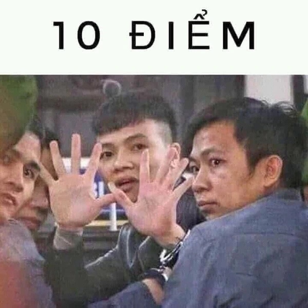 10 điểm văn meme siêu hài