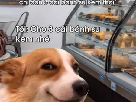 155+ ảnh meme cười đểu hài cho cuộc trò chuyện thêm thú vị