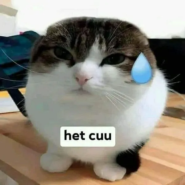 Ảnh meme hết cứu siêu ngầu