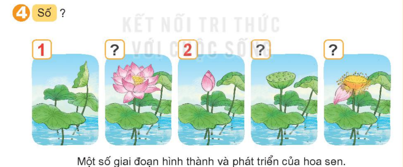 Bài số 4: Giải luyện tập câu 4 trang 89 SGK Toán 1 tập 2