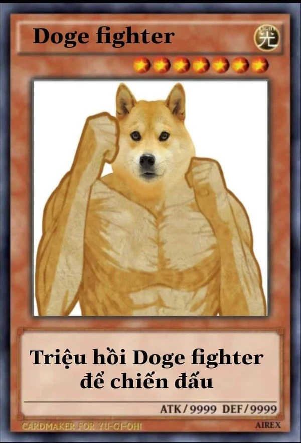 doge fighter