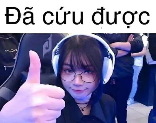 Hết cứu meme chất lừ