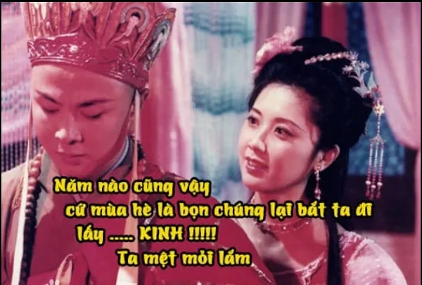 meme đường tăng chế vui nhộn