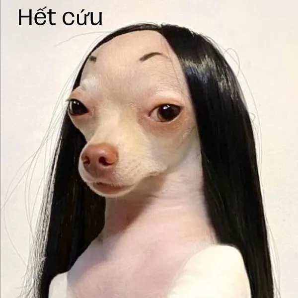 Meme hết cứu đỉnh cao giải trí