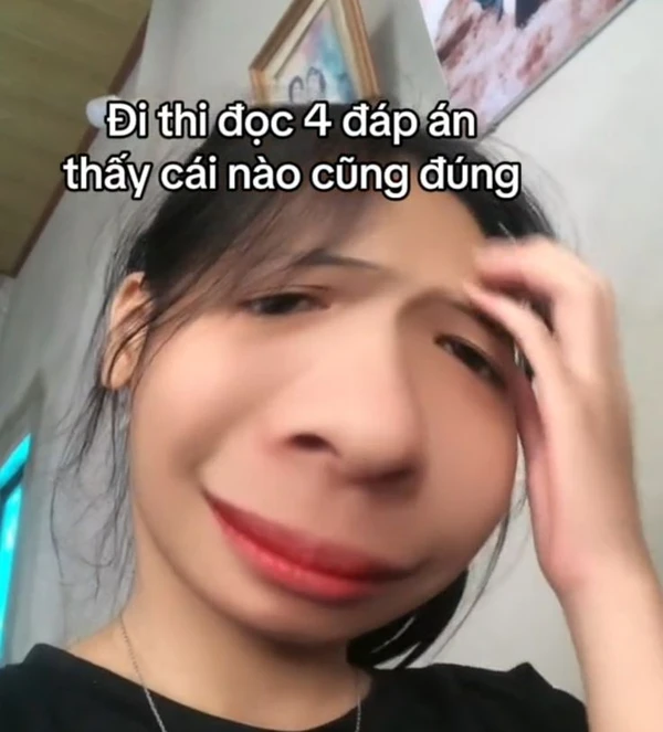 Meme học bài full công lực