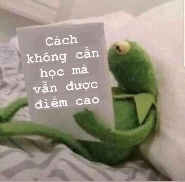 Meme học bài siêu cấp vip pro