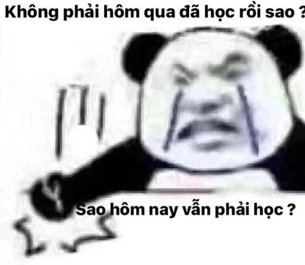 Meme học sinh full tấu hài