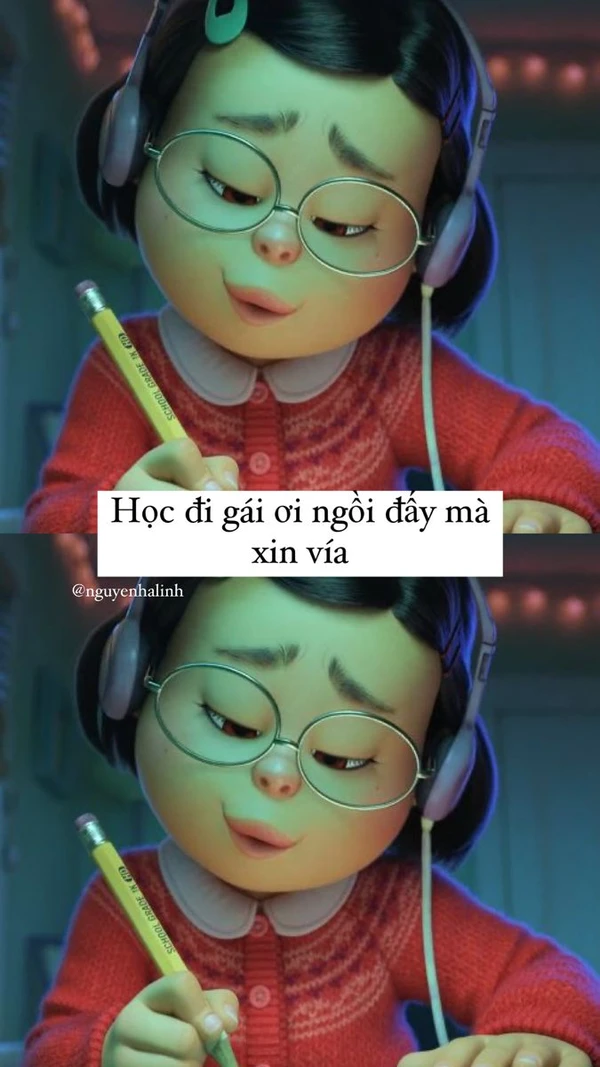 Meme học tập best căng