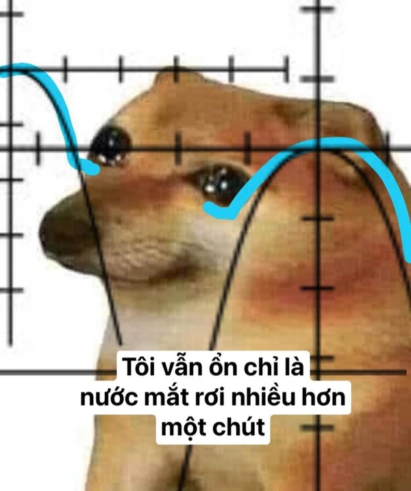 Meme học tập hết hồn