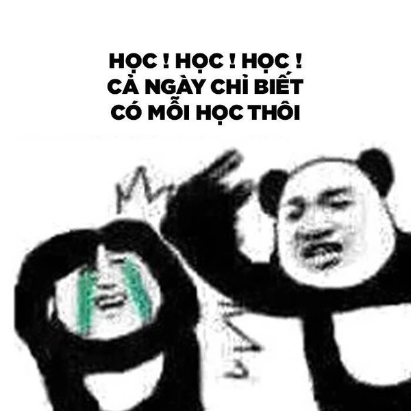 Meme học tập sấp mặt